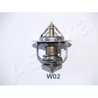 Thermostat d'eau ASHIKA