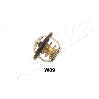 Thermostat d'eau ASHIKA 38-0W-W09