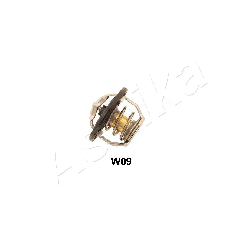 Thermostat d'eau ASHIKA 38-0W-W09