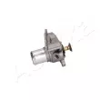 Thermostat d'eau ASHIKA 38-FI-FI02 - Visuel 1
