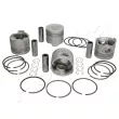 Piston ASHIKA 39-109 - Visuel 1