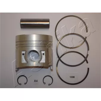 Piston ASHIKA 39-109M