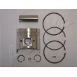 Piston ASHIKA 39-510M - Visuel 1