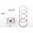 Piston ASHIKA 39-699M - Visuel 1