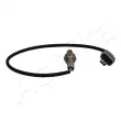 Sonde lambda ASHIKA 43-N01 - Visuel 1