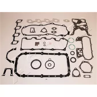 Jeu complet de joints d'étanchéité, moteur ASHIKA 49-02-294S