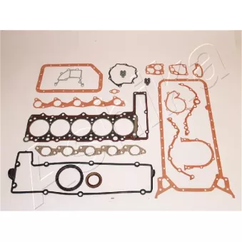 Jeu complet de joints d'étanchéité, moteur ASHIKA 49-0S-S01
