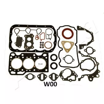 Jeu complet de joints d'étanchéité, moteur ASHIKA 49-0W-W00