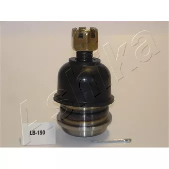 Rotule de suspension ASHIKA 53-01-190