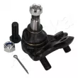 Rotule de suspension ASHIKA 53-02-297 - Visuel 2