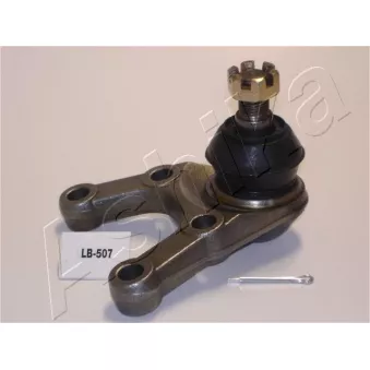 Rotule de suspension ASHIKA