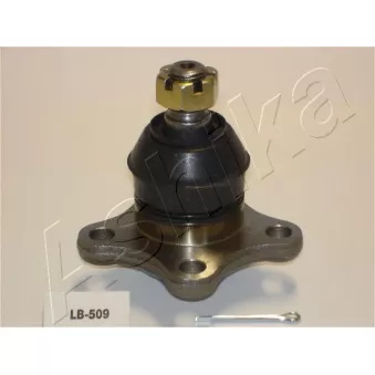 Rotule de suspension ASHIKA 53-05-509