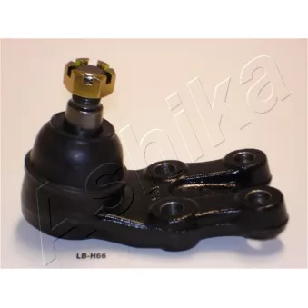 Rotule de suspension ASHIKA 53-0H-H66