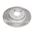 Jeu de 2 disques de frein arrière ASHIKA 61-04-497C - Visuel 1