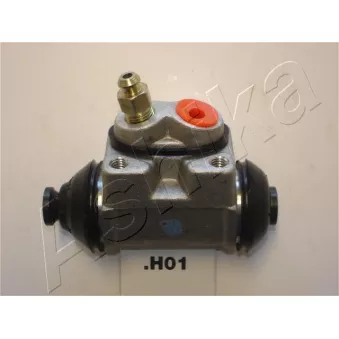 Cylindre de roue ASHIKA 67-H0-001