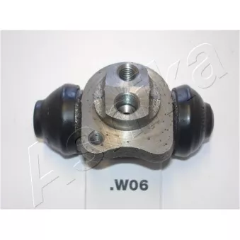 Cylindre de roue ASHIKA 67-W0-006