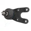 Rotule de suspension ASHIKA 73-00-006 - Visuel 1