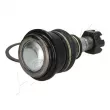 Rotule de suspension ASHIKA 73-01-101 - Visuel 2