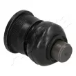 Rotule de suspension ASHIKA 73-01-104 - Visuel 3