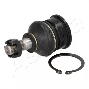 Rotule de suspension ASHIKA 73-01-105