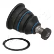 Rotule de suspension ASHIKA 73-01-107 - Visuel 3