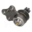 Rotule de suspension avant gauche ASHIKA 73-01-113L - Visuel 3