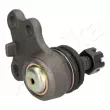 Rotule de suspension avant droit ASHIKA 73-01-113R - Visuel 3