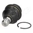 Rotule de suspension ASHIKA 73-01-136 - Visuel 1