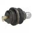 Rotule de suspension ASHIKA 73-01-136 - Visuel 3