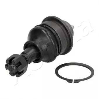 Rotule de suspension ASHIKA 73-01-137
