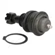 Rotule de suspension ASHIKA 73-01-137 - Visuel 2
