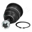 Rotule de suspension ASHIKA 73-02-2000 - Visuel 1