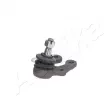 Rotule de suspension ASHIKA 73-02-2067 - Visuel 3