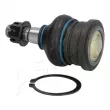 Rotule de suspension ASHIKA 73-02-215 - Visuel 2