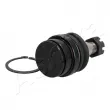 Rotule de suspension ASHIKA 73-02-235 - Visuel 3