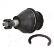 Rotule de suspension ASHIKA 73-02-247 - Visuel 1