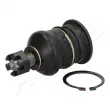 Rotule de suspension ASHIKA 73-02-251 - Visuel 1