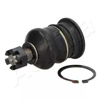 Rotule de suspension ASHIKA