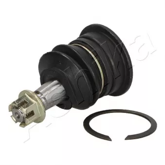 Rotule de suspension ASHIKA