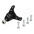Rotule de suspension avant gauche ASHIKA 73-02-254L - Visuel 1
