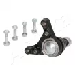 Rotule de suspension avant droit ASHIKA 73-02-254R - Visuel 3