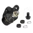 Rotule de suspension avant gauche ASHIKA 73-02-290L - Visuel 3