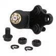 Rotule de suspension avant droit ASHIKA 73-02-290R - Visuel 1