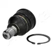 Rotule de suspension ASHIKA 73-03-302 - Visuel 1