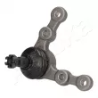 Rotule de suspension ASHIKA 73-03-309 - Visuel 1