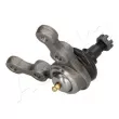 Rotule de suspension ASHIKA 73-03-309 - Visuel 3
