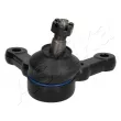 Rotule de suspension ASHIKA 73-03-312 - Visuel 2