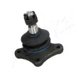 Rotule de suspension ASHIKA 73-03-313 - Visuel 1