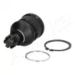 Rotule de suspension ASHIKA 73-03-319 - Visuel 1