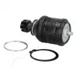 Rotule de suspension ASHIKA 73-03-319 - Visuel 2